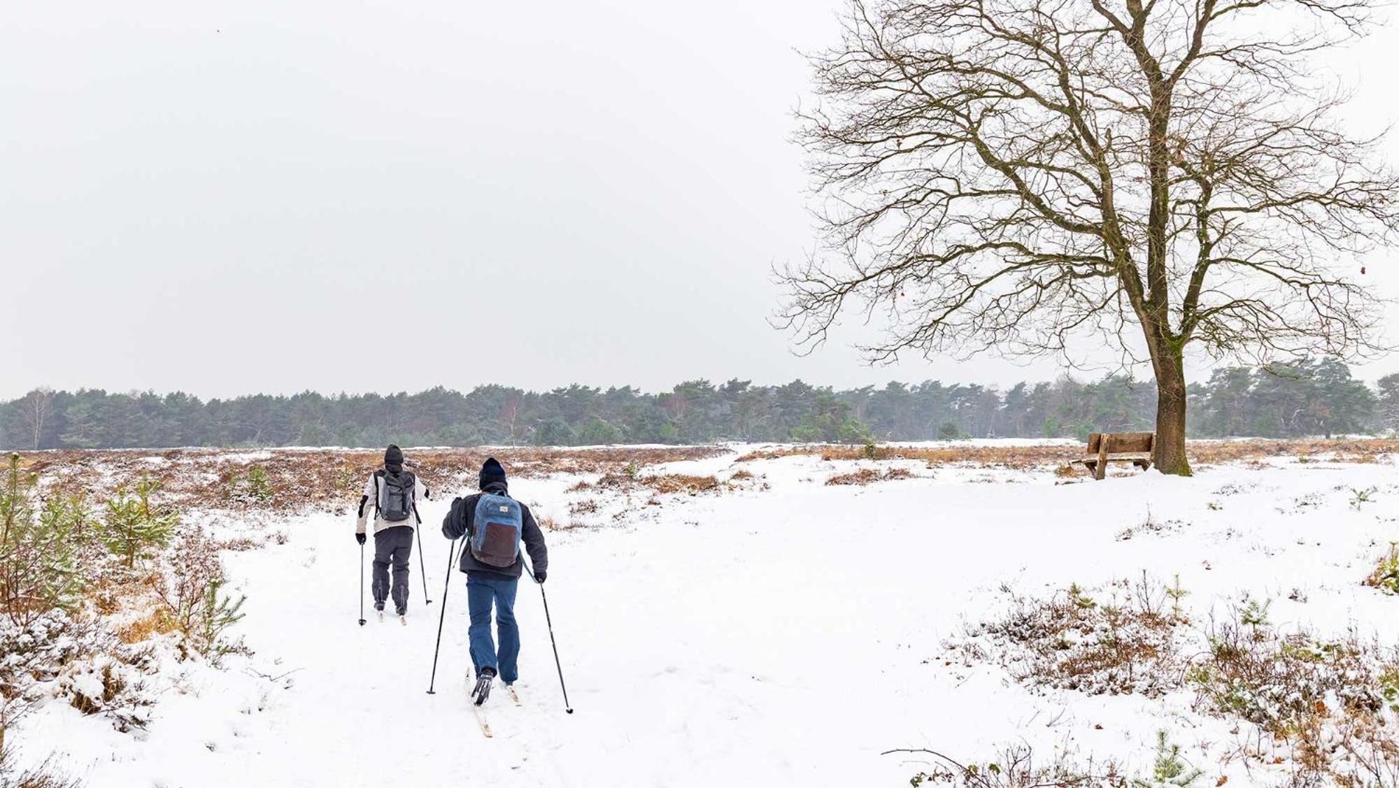 Molecaten Park Landgoed Ginkelduin Leersum Kültér fotó